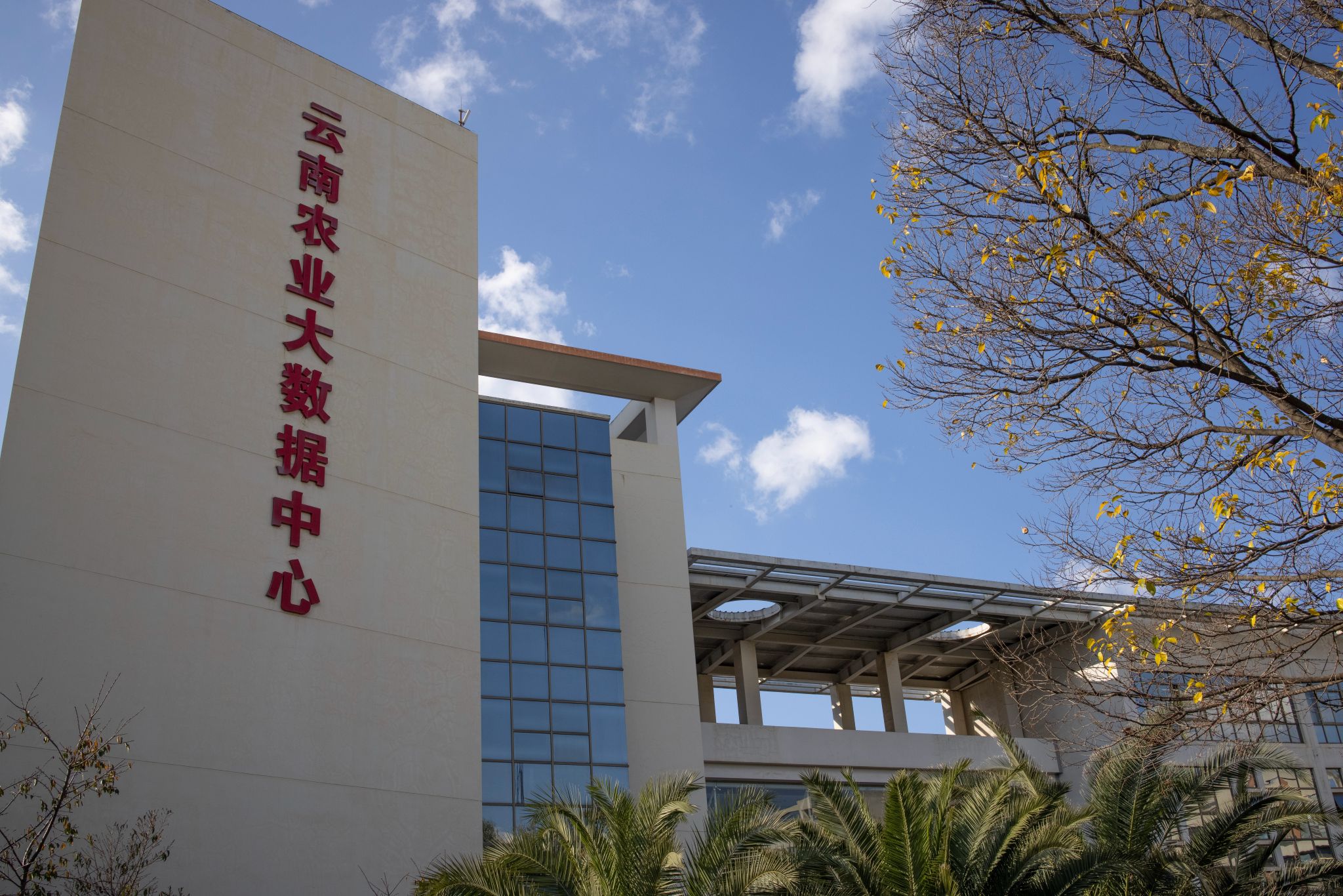 数据科学与大数据技术