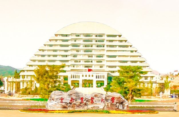 云南农业大学关于2025年专升本免试招生综合考查工作的通知