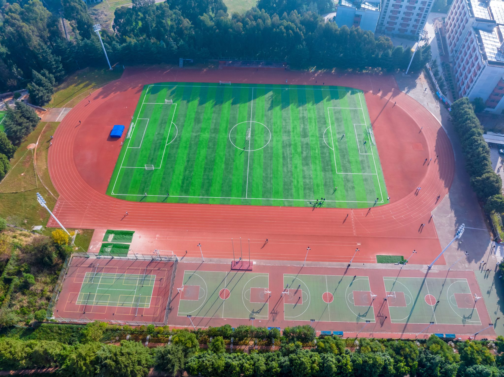 云南农业大学2026年高水平运动队招生简章