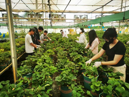 设施农业科学与工程