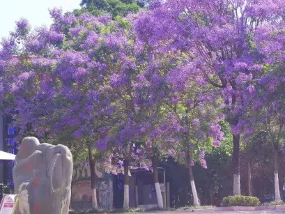 云南农业大学2026年专升本免试招生综合考查成绩公示