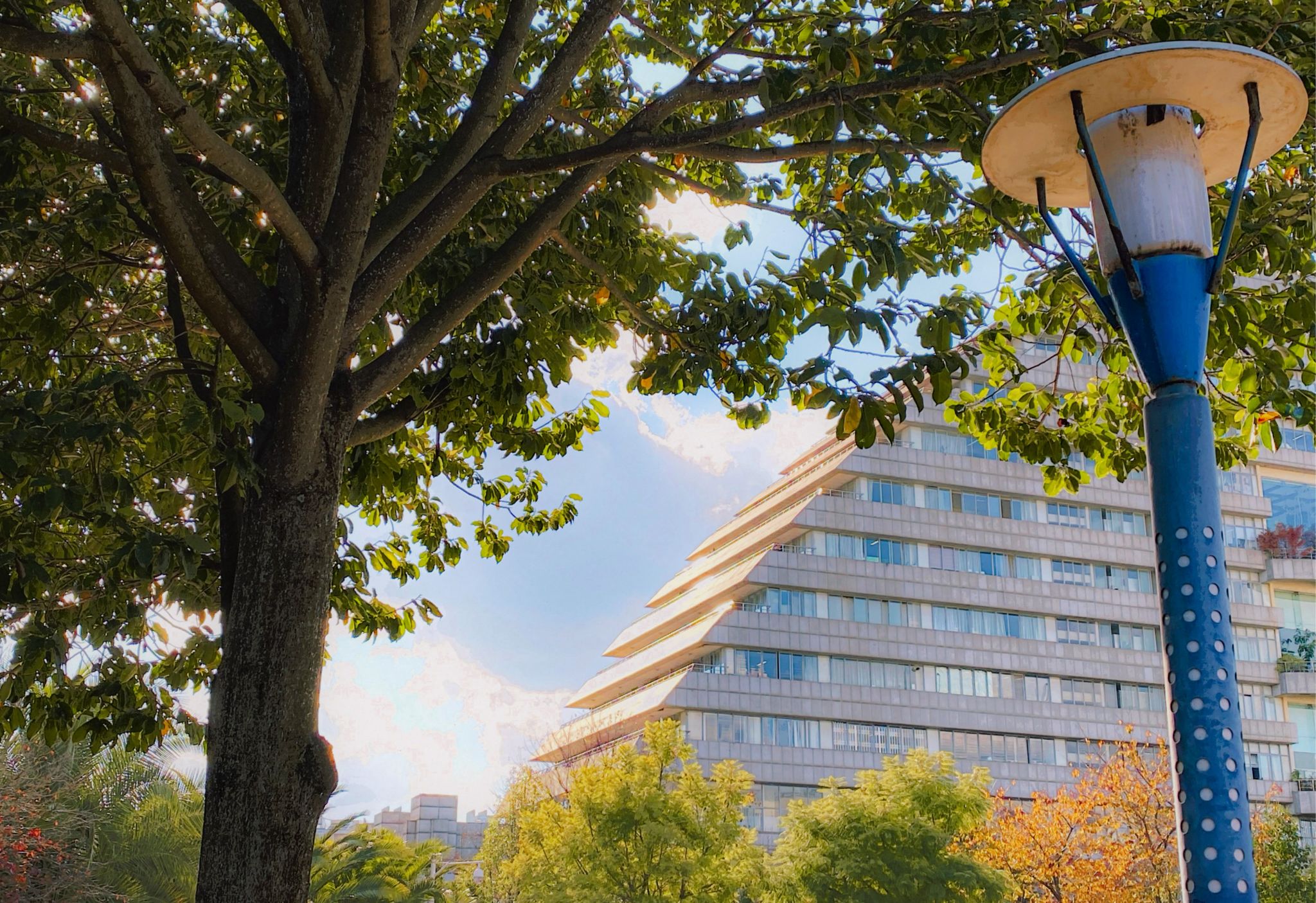 云南农业大学2026年职教高考招生章程