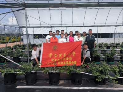 农业水利工程