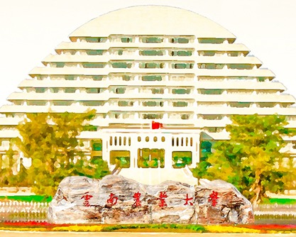 云南农业大学关于发布2026年专升本免试招生综合考查地点的通知